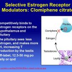 clomiphene men 1