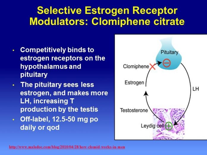 clomiphene men 1