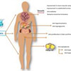 metformin benefits