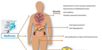 metformin benefits