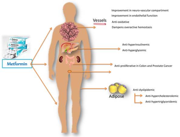 metformin-benefits.jpg