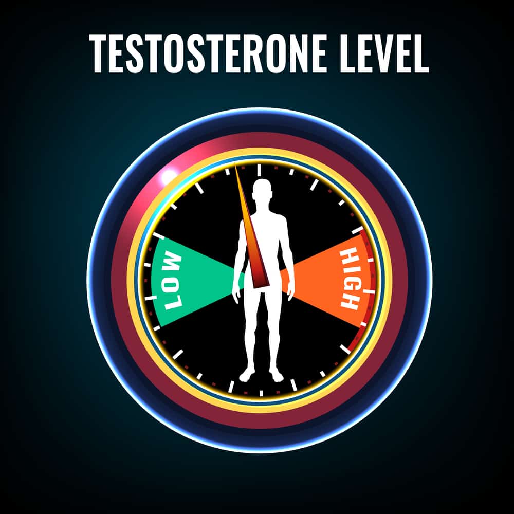 Testosterone Blood Tests Types: How to Choose the Correct One